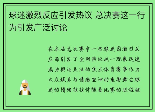 球迷激烈反应引发热议 总决赛这一行为引发广泛讨论